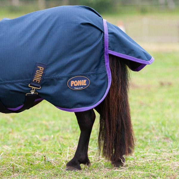 Gallop PONIE Lightweight Turnout Navy/Purple