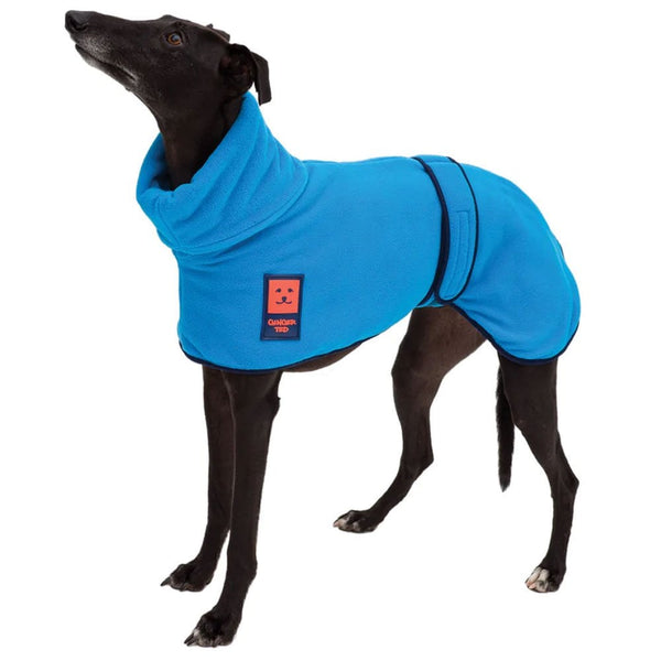 Ginger Ted Cosy Fleece Greyhound Jumper Blue