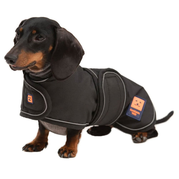 Ginger Ted Shower Waterproof Dachshund Coat Black