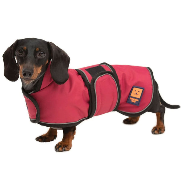 Ginger Ted Shower Waterproof Dachshund Coat Cherry Red