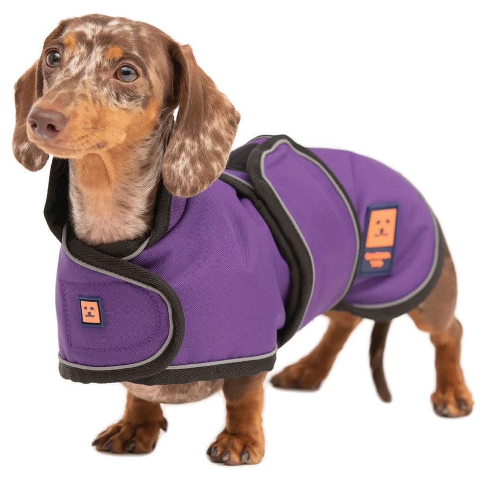 Ginger Ted Shower Waterproof Dachshund Coat Purple