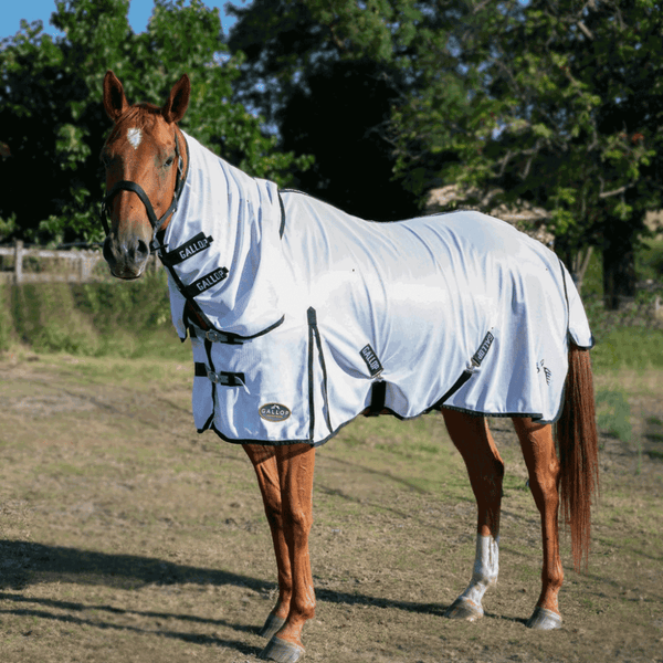 Classic Combo Fly Rug White/Black