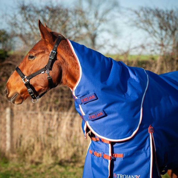 Gallop Trojan Dual 200g Turnout Rug & Neck Set Royal/Red