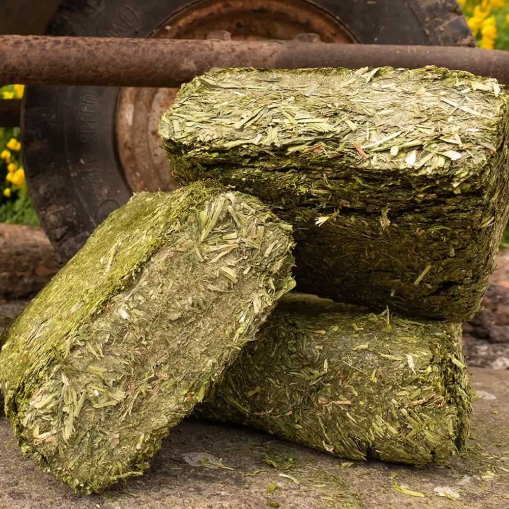 Silvermoor Grassabix Bumper Pack 10x1Kg