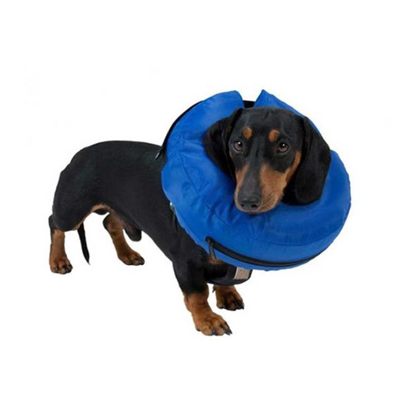 Buster Inflatable Dog Collar Blue