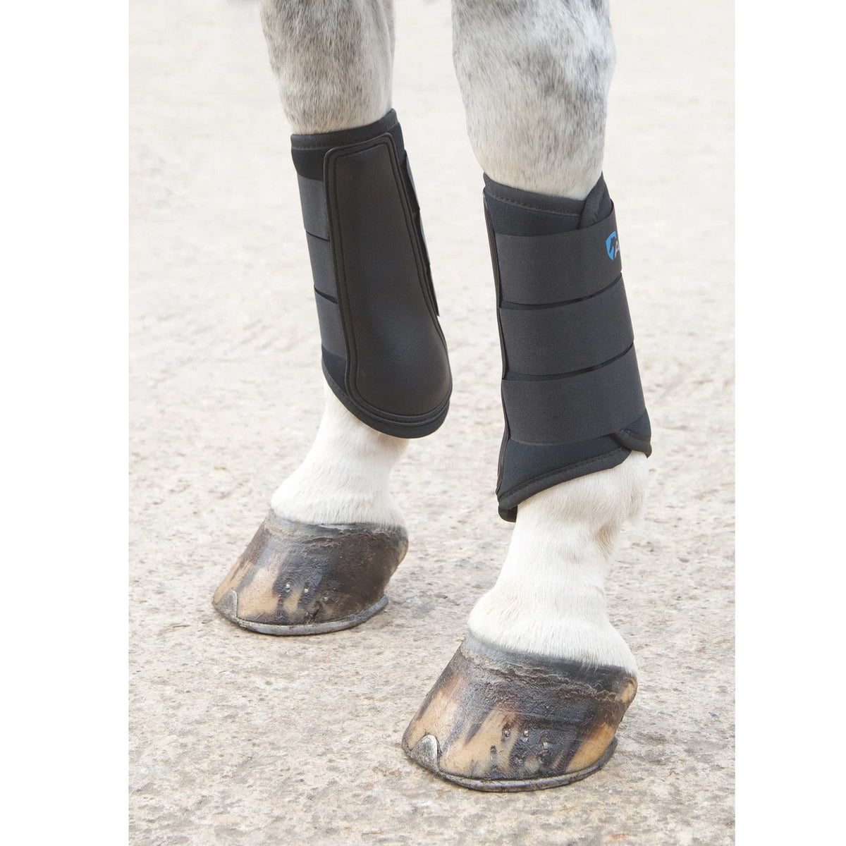 Shires Arma Neoprene Brushing Boots Black