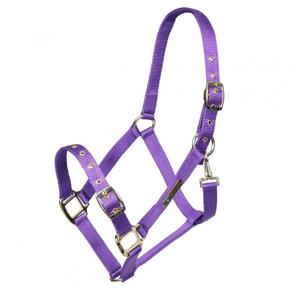 Shires Arma Adjustable Headcollar Purple