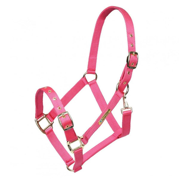 Shires Arma Adjustable Headcollar Pink