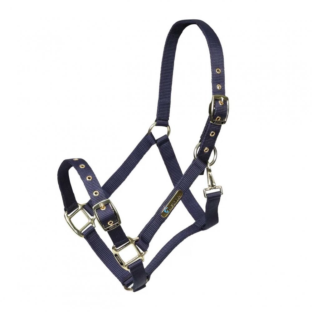 Shires Arma Adjustable Headcollar Navy