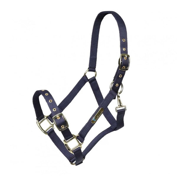 Shires Arma Adjustable Headcollar Navy