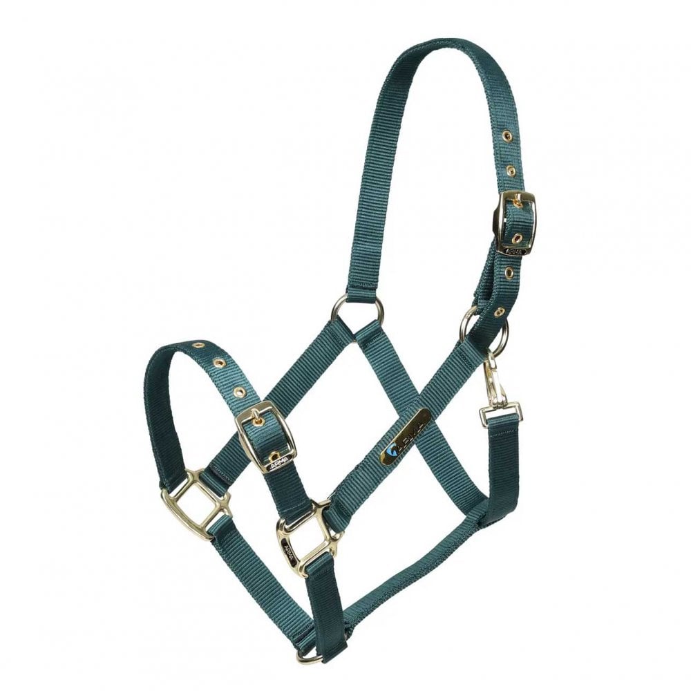 Shires Arma Adjustable Headcollar Green