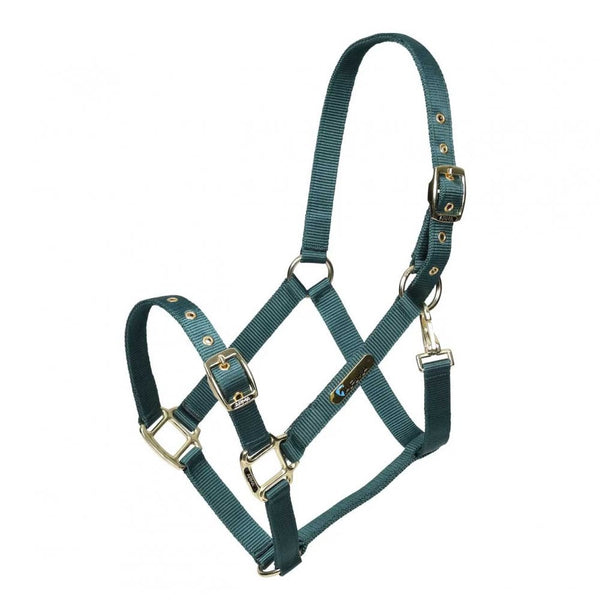 Shires Arma Adjustable Headcollar Green