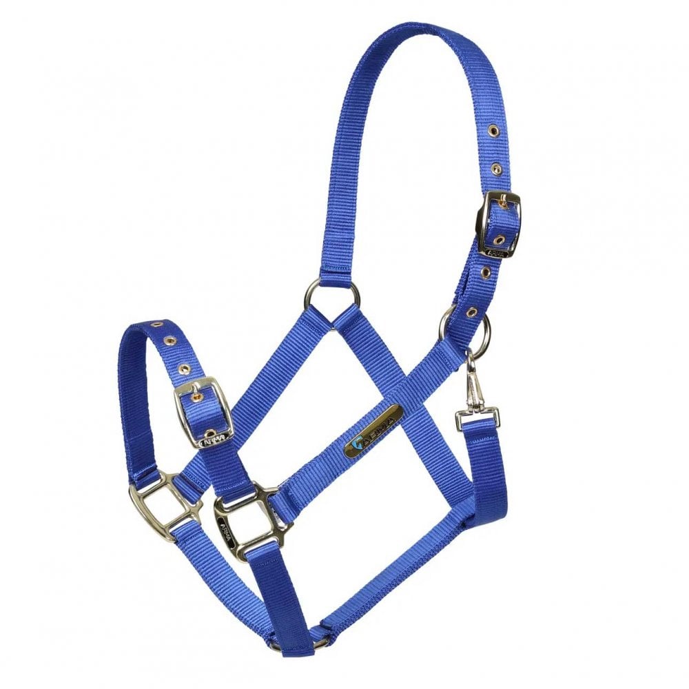 Shires Arma Adjustable Headcollar Blue