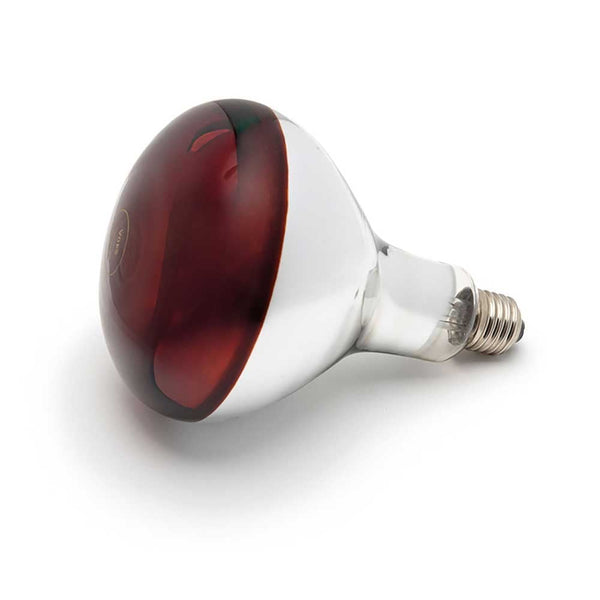 Burnhills Infrared 250w RED Bulb