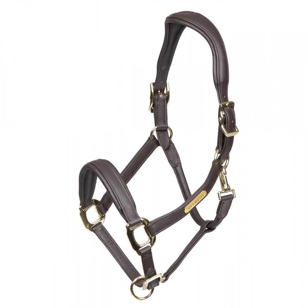 Shires Velociti Rapida Comfort Leather Headcollar Havana