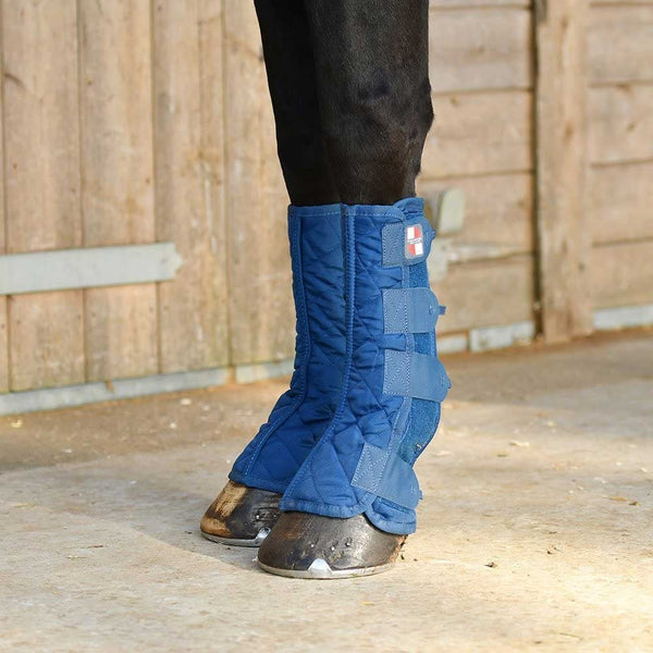 Equilibrium Equi Stable Chaps Blue