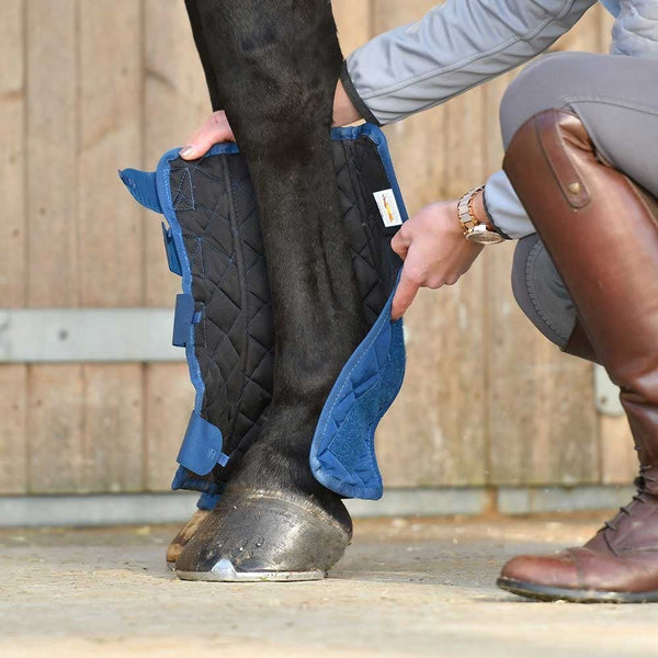 Equilibrium Equi Stable Chaps Blue