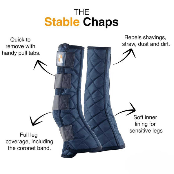 Equilibrium Equi Stable Chaps Blue