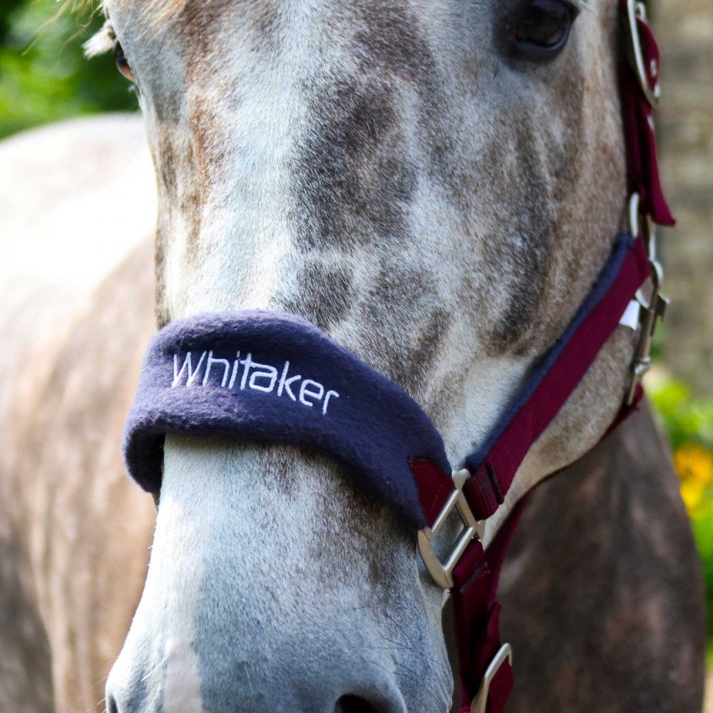 Whitaker Club Headcollar & Leadrope Set Burgundy