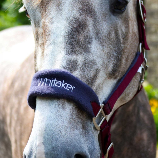 Whitaker Club Headcollar & Leadrope Set Burgundy