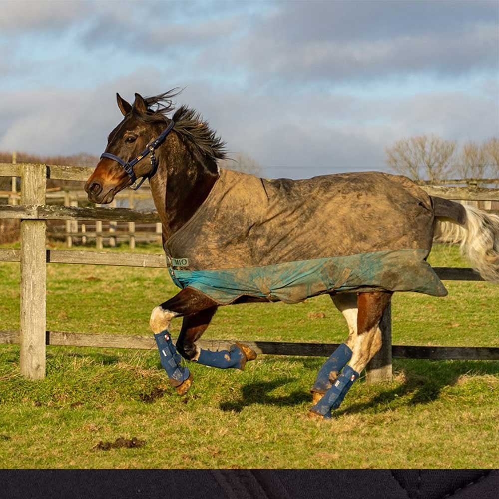 Equilibrium Equi Hardy Chaps Blue