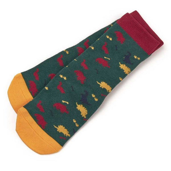 Tikaboo Long Socks Dinosaur
