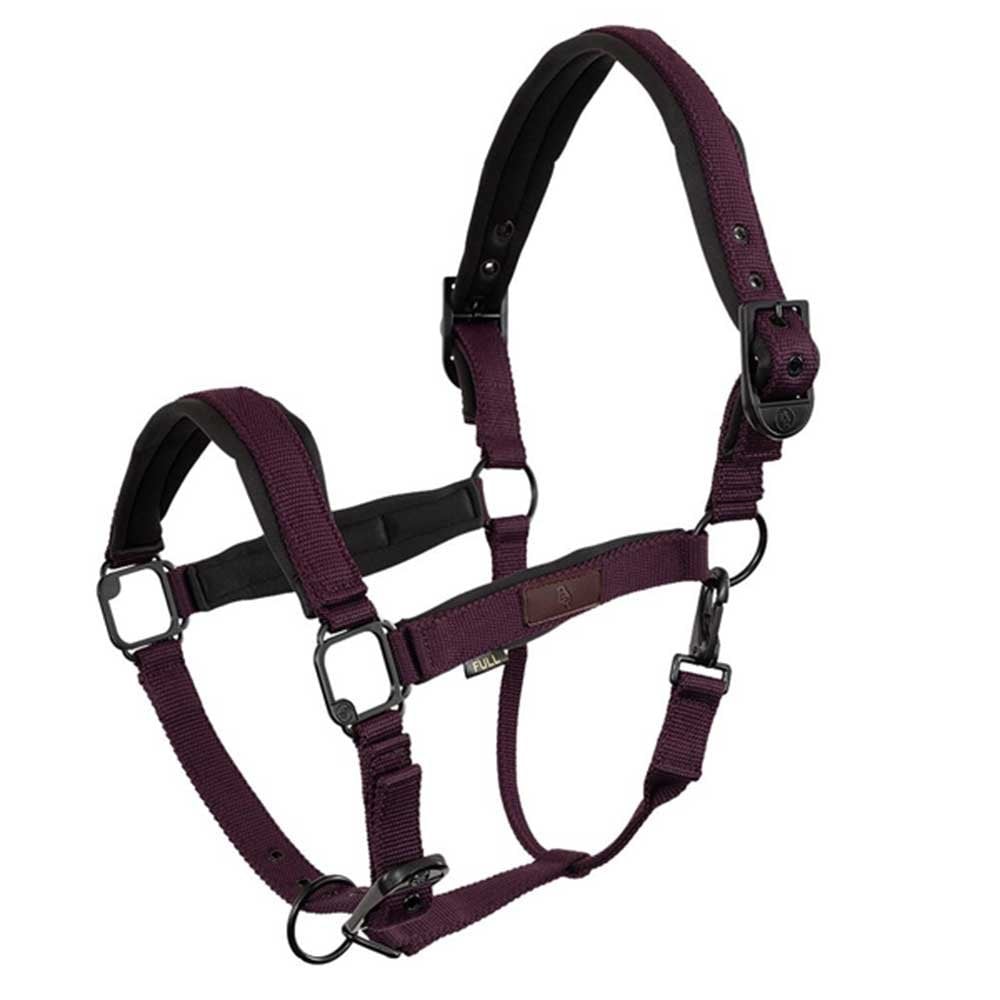 BR Halter Fedde Fudge