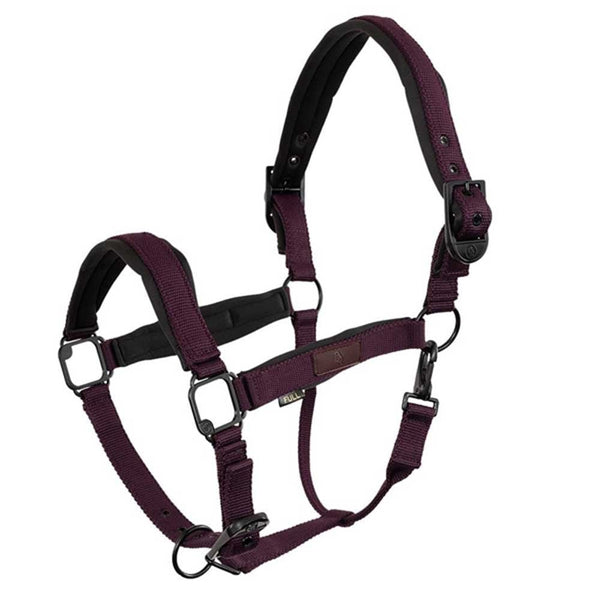 BR Halter Fedde Fudge