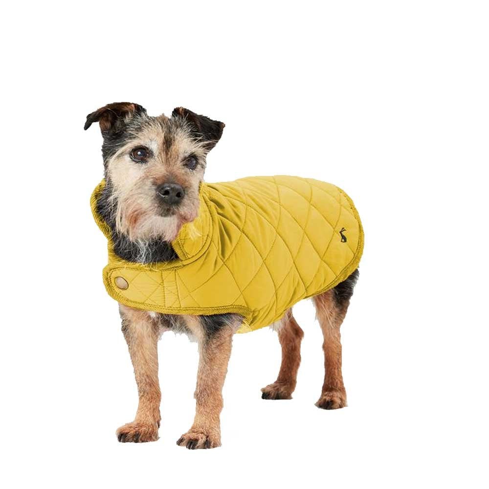 Joules Antique Gold Quilted Dog Coat