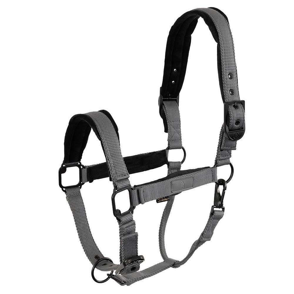 BR Halter Flint Quiet Shade
