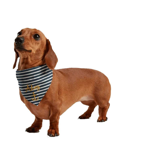 Joules Nautical Dog Collar & Neckerchief