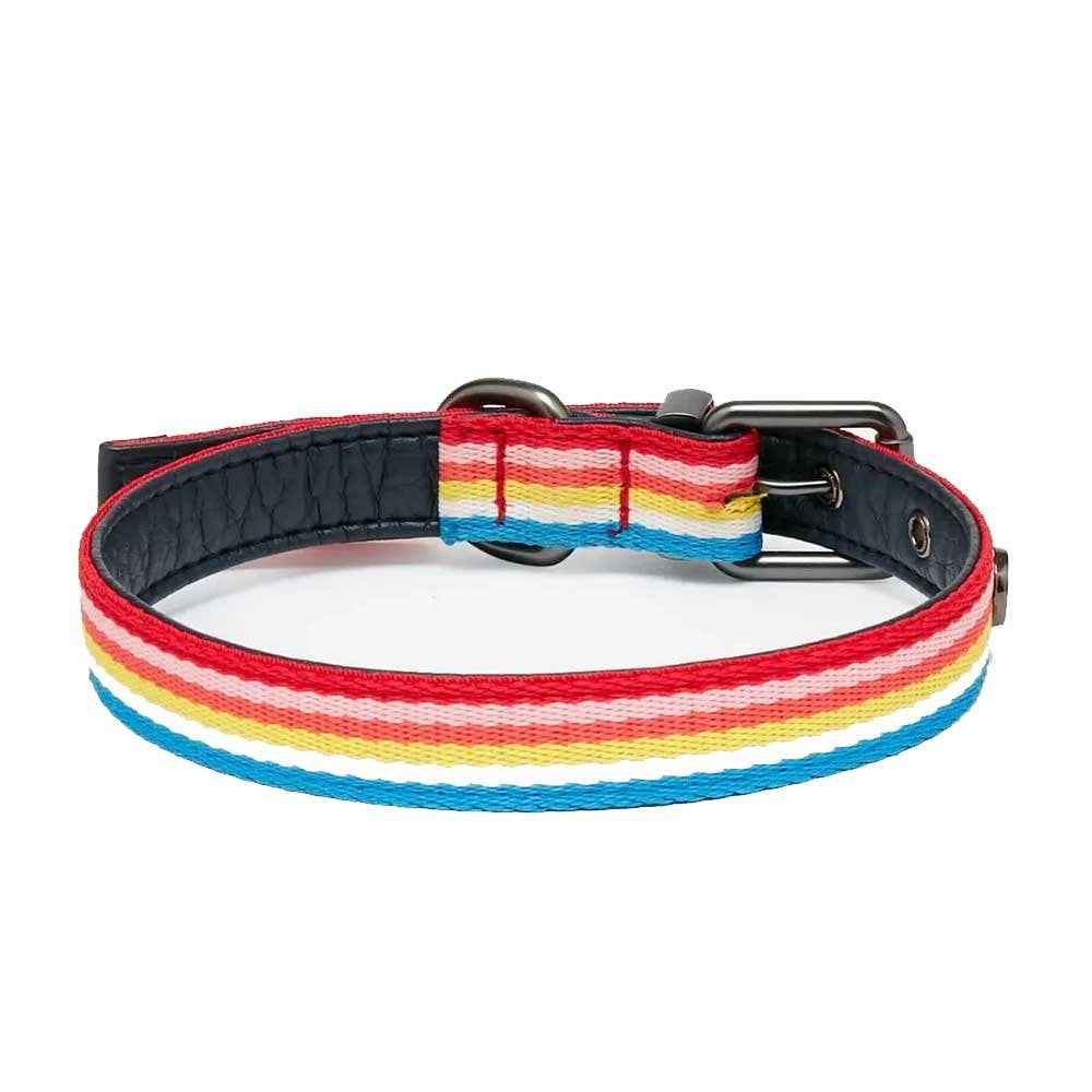 Joules Rainbow Stripe Dog Collar