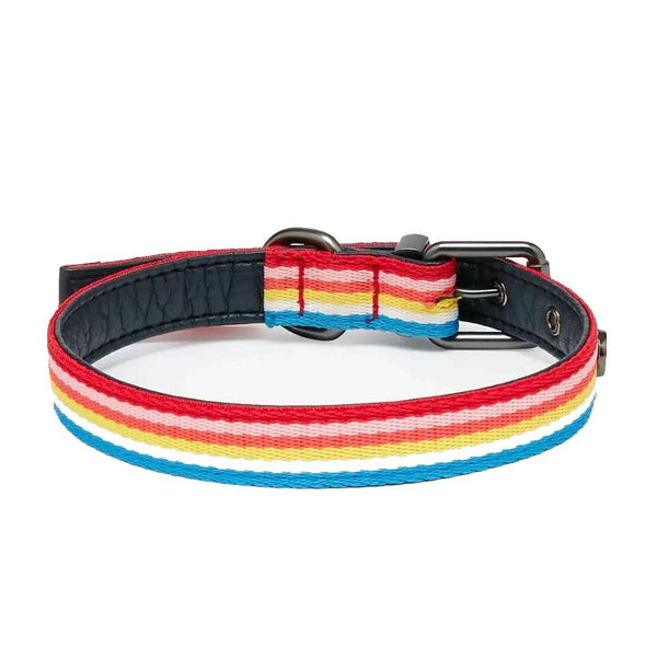 Joules Rainbow Stripe Dog Collar