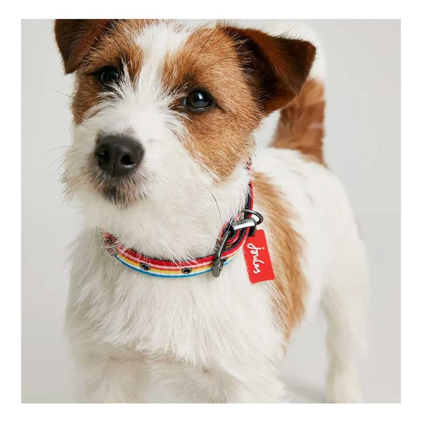 Joules Rainbow Stripe Dog Collar