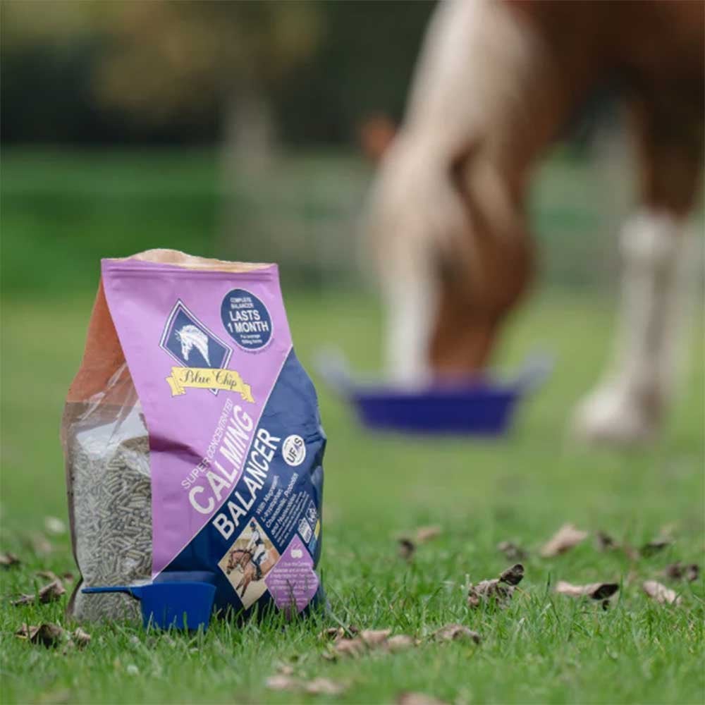 Blue Chip Super Concentrated Calming Balancer 3Kg