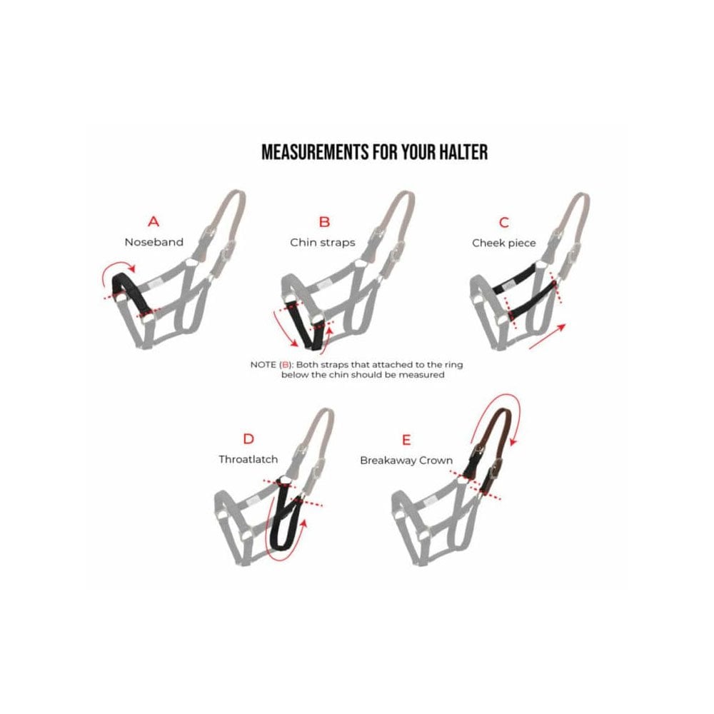 ThinLine Breakaway Field Safe Halter