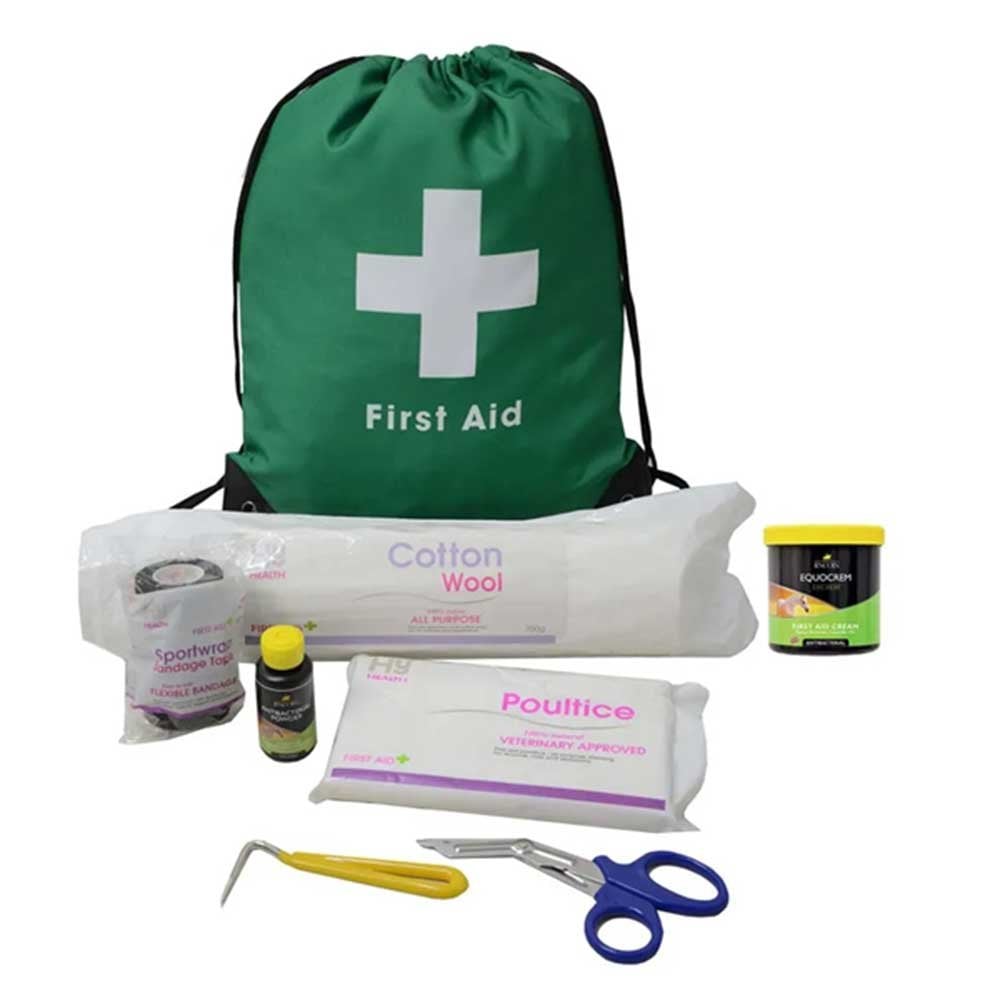 Lincoln First Aid Travel Bag