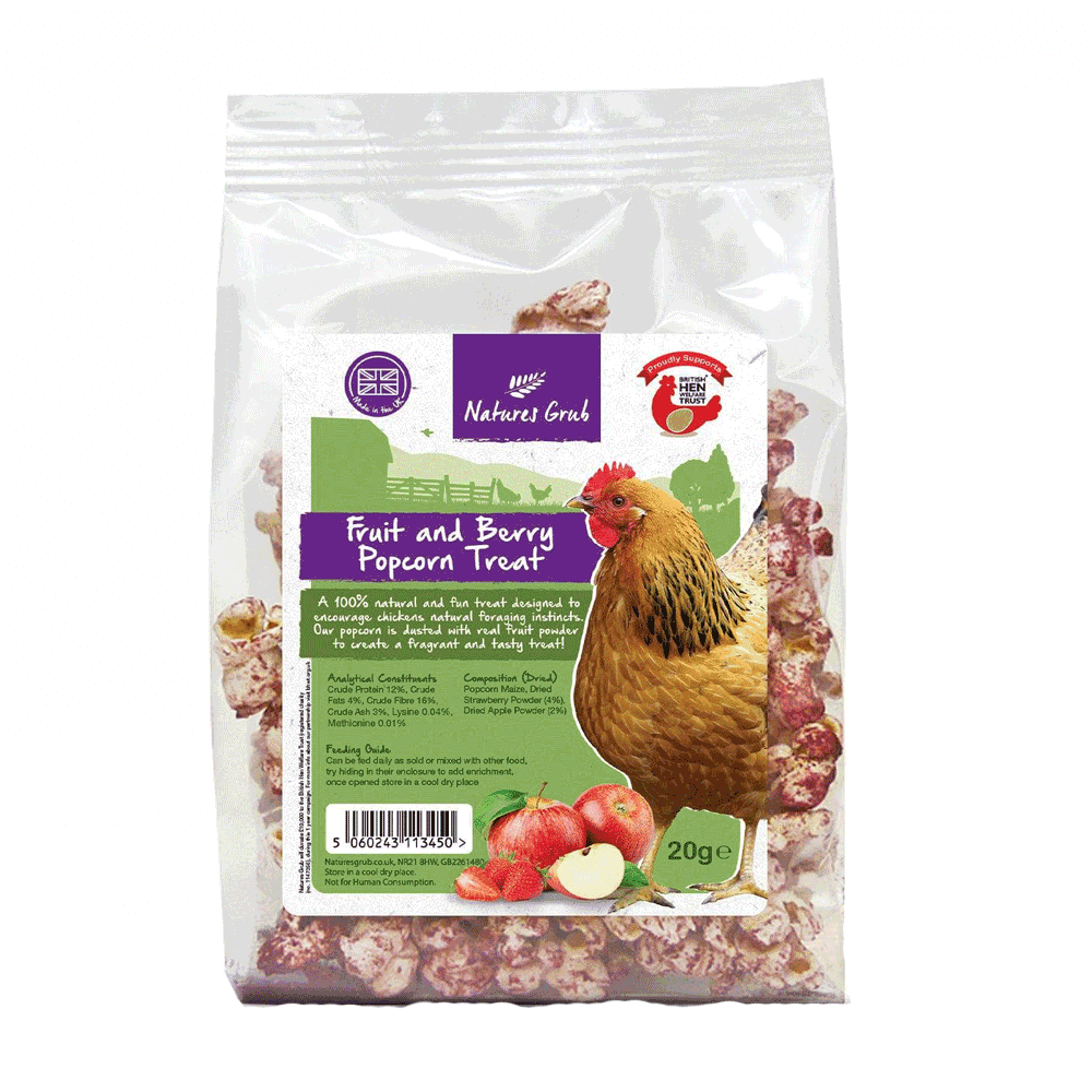 Natures Grub Fruit & Berry Popcorn Treat 20g