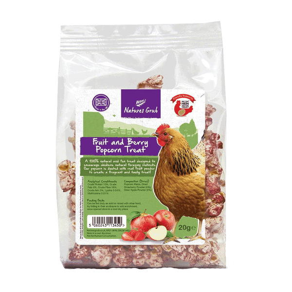 Natures Grub Fruit & Berry Popcorn Treat 20g