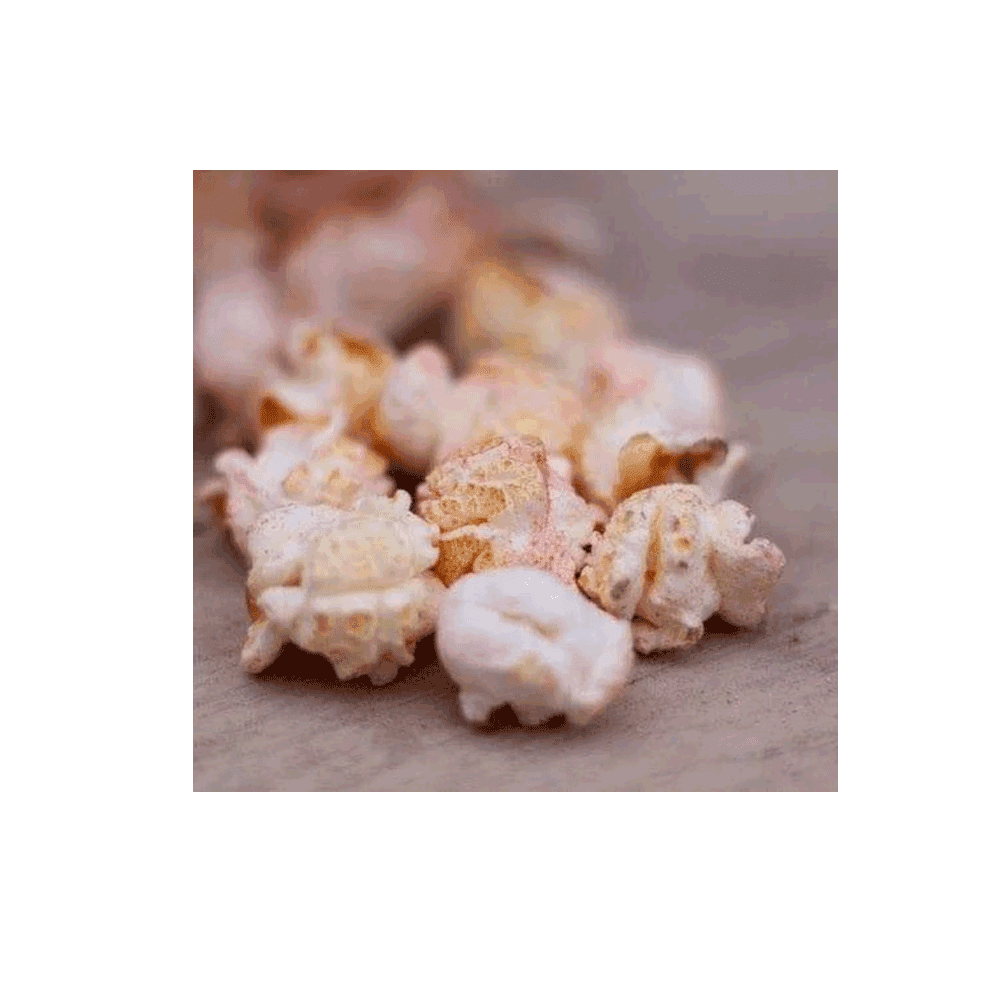 Natures Grub Fruit & Berry Popcorn Treat 20g
