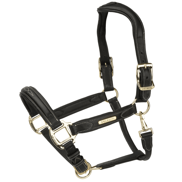 Shires Velociti Rapida Comfort Leather Headcollar Black