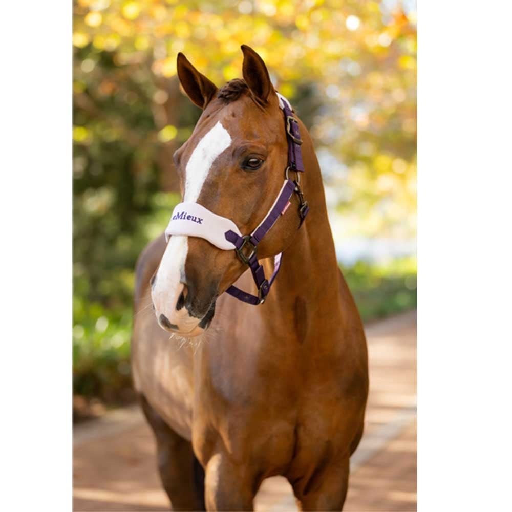 LeMieux Vogue Headcollar and Leadrope Juniper