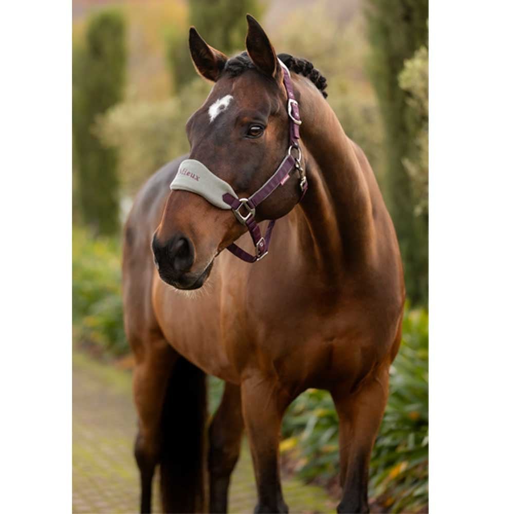 LeMieux Vogue Headcollar and Leadrope Damson