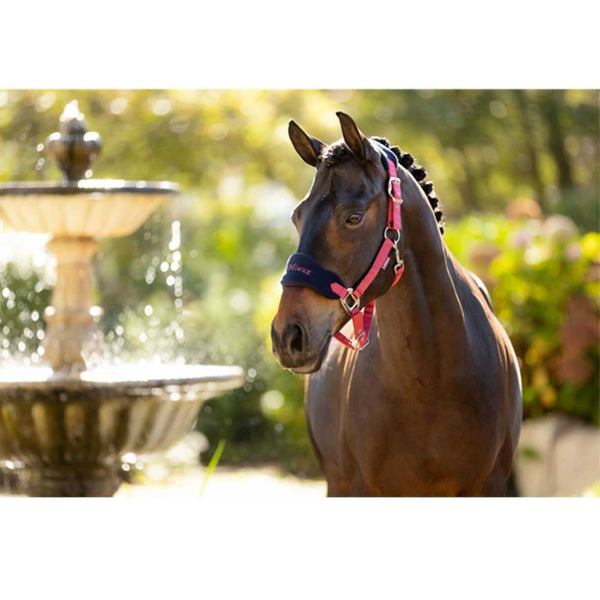 LeMieux Vogue Headcollar and Leadrope Cranberry