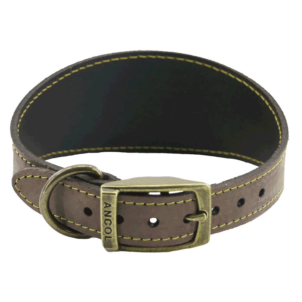 Ancol Timberwolf Greyhound Dog Collar 34-43cm