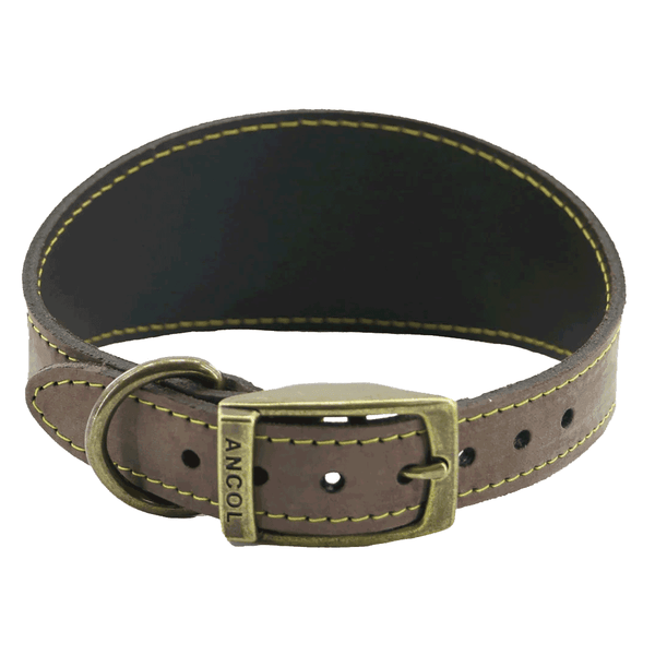Ancol Timberwolf Greyhound Dog Collar 34-43cm