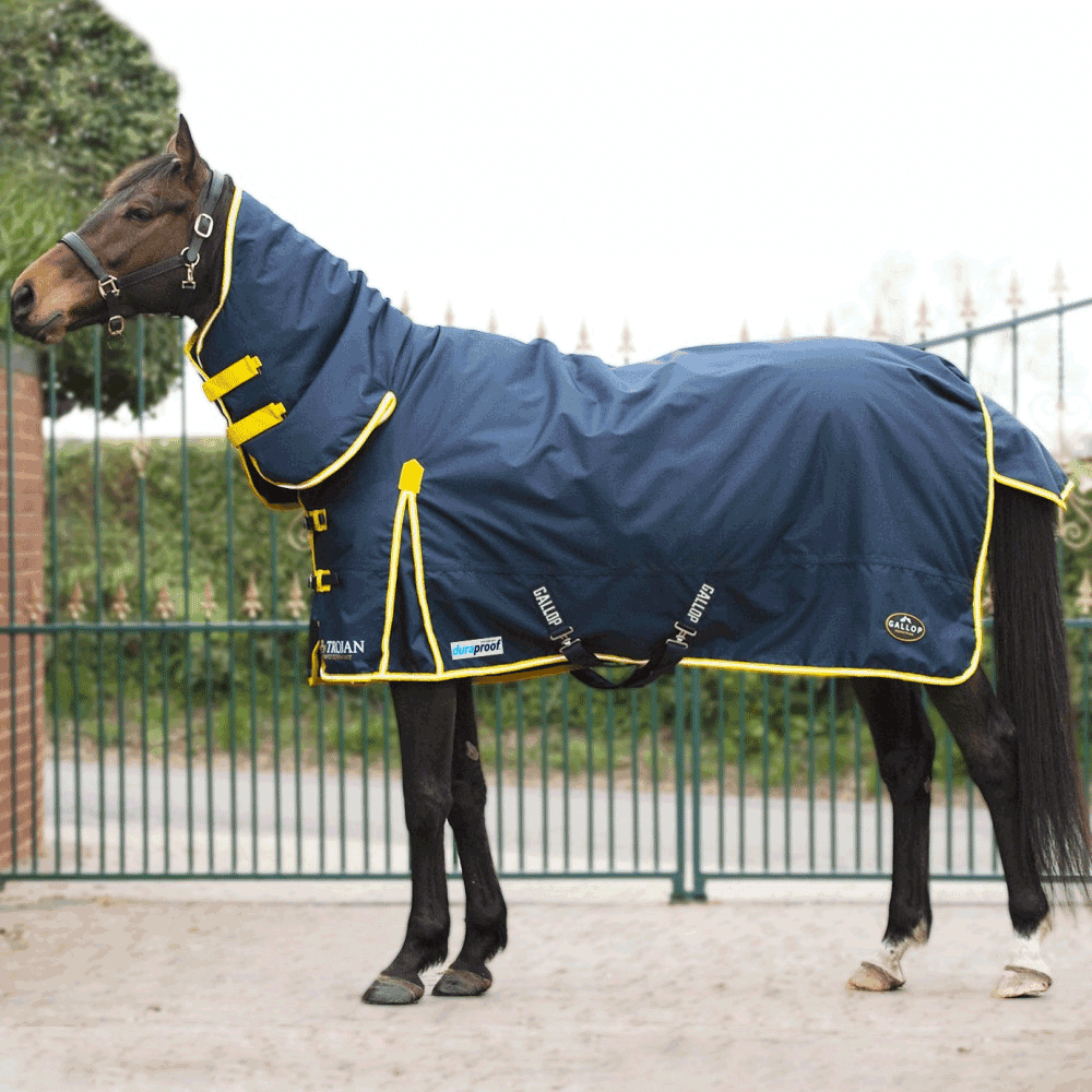 Gallop Duraproof Combo 200g Turnout Rug Navy/Yellow