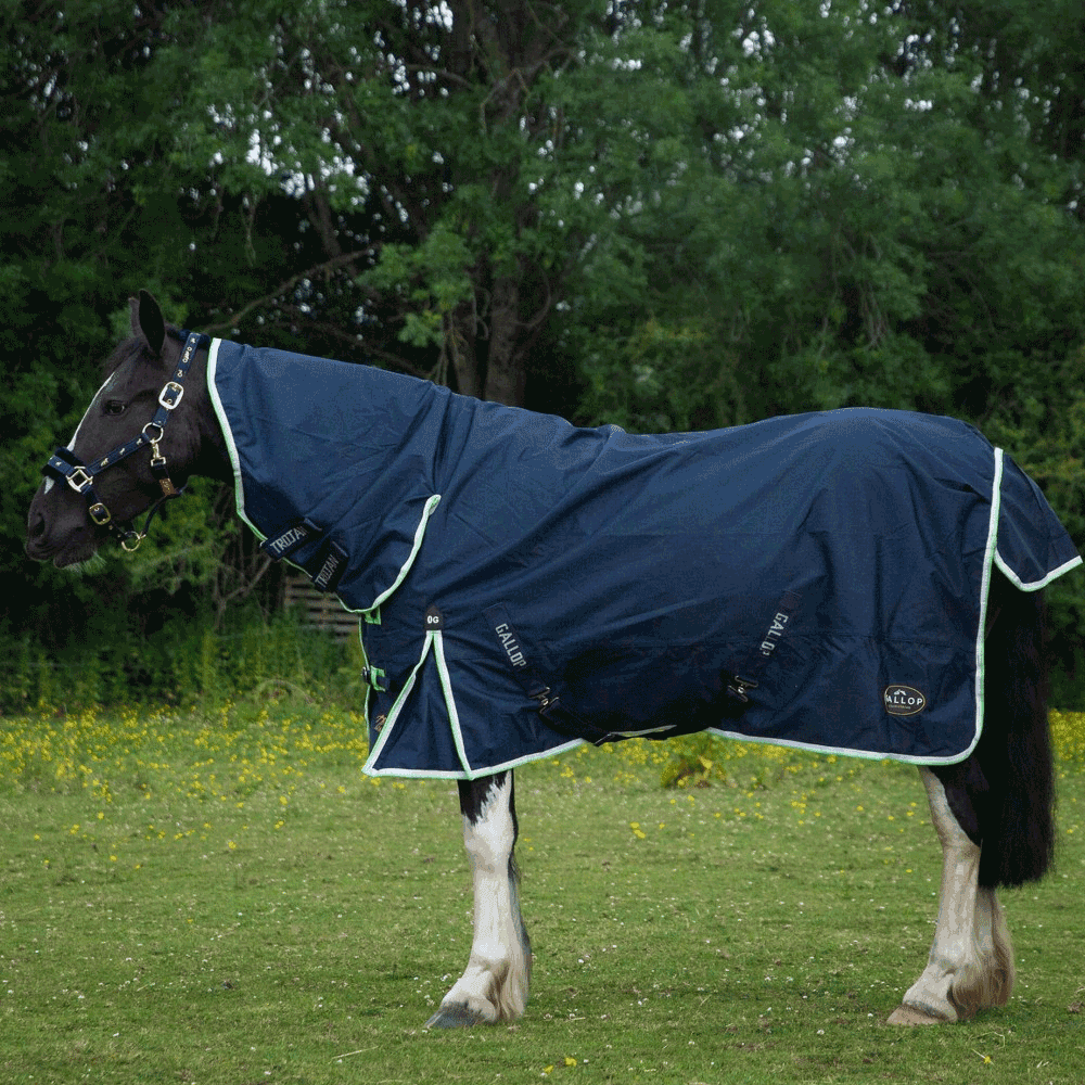 Gallop Duraproof Lightweight Combo 0g Turnout Rug Navy/Green