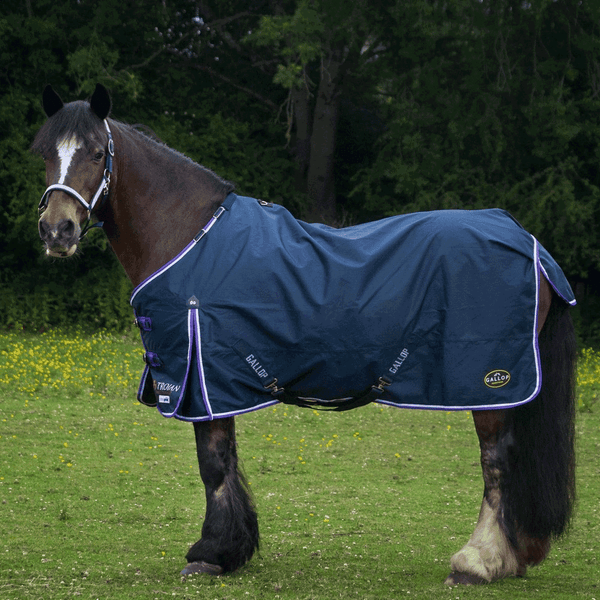 Gallop Duraproof Lightweight 0g Standard Neck Turnout Rug Navy/Purple