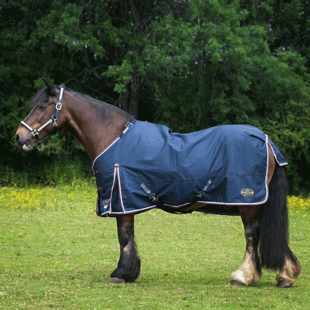 Gallop Duraproof Standard Neck 50g Turnout Rug Navy/Burgundy